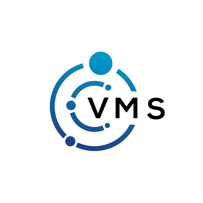 Virtual computer systems (VMs)